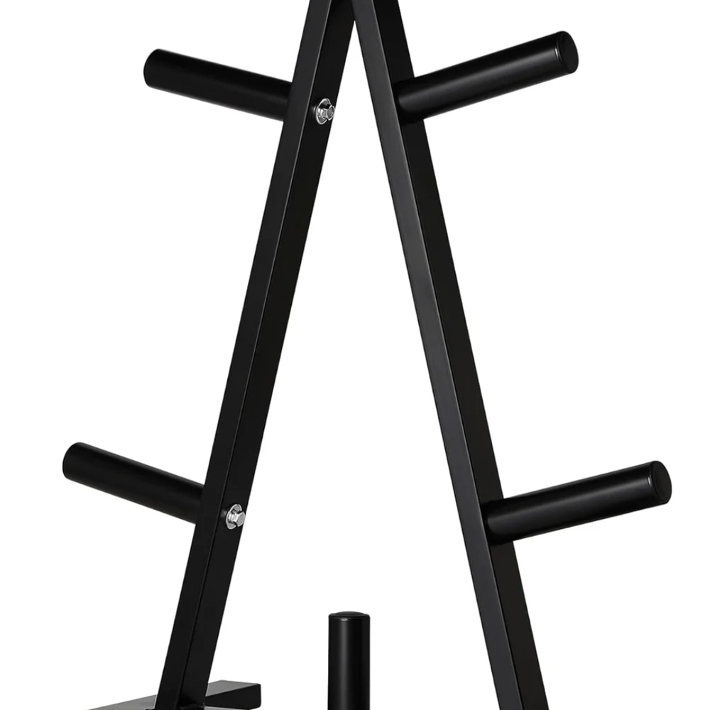 Amazon Basic Weight Plate.